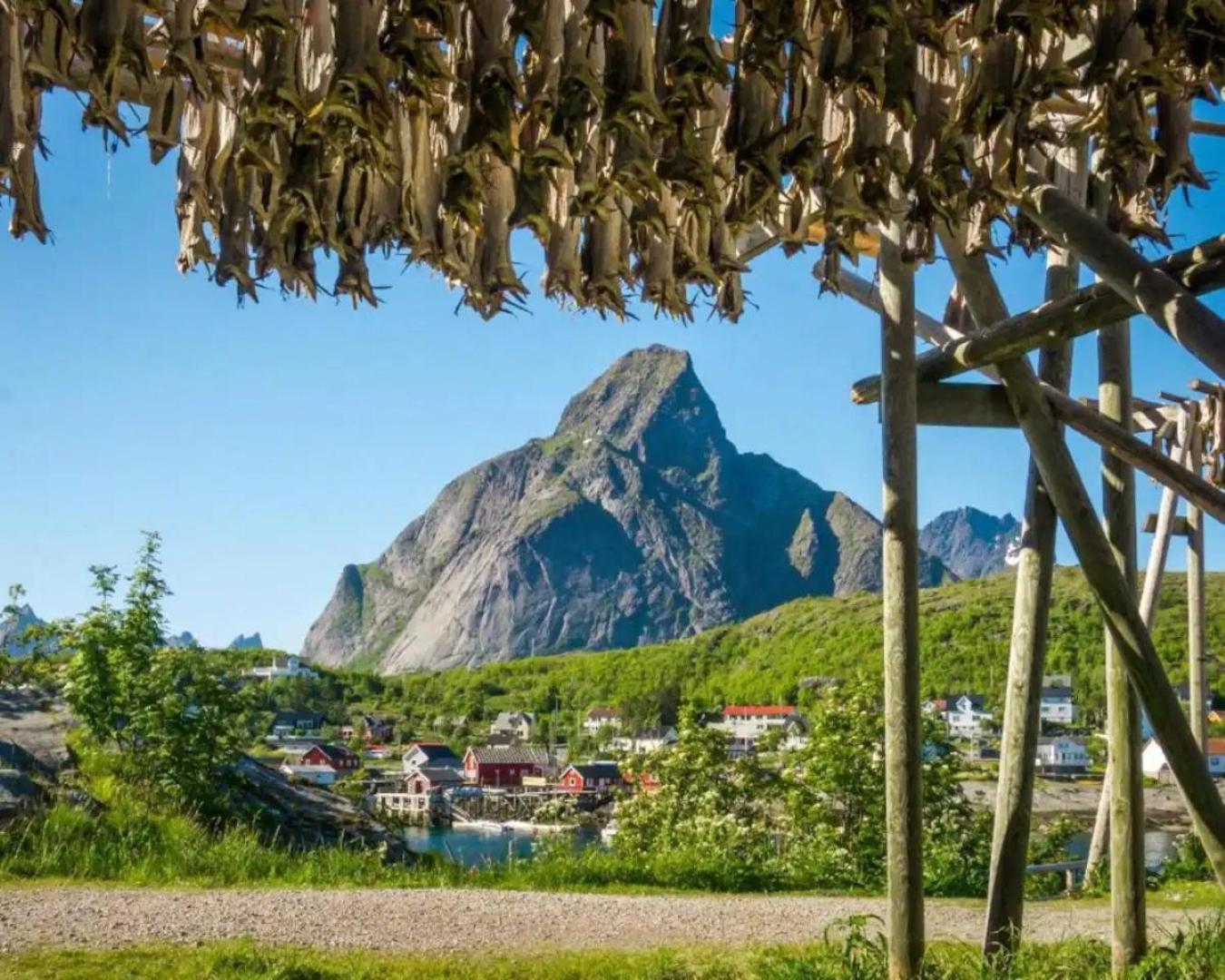 Madelhea Cabin- Seaview Lodge Reine Kültér fotó